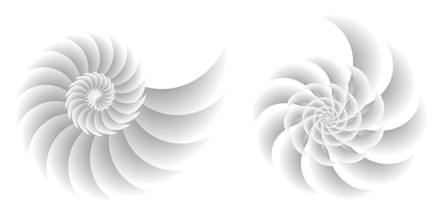 Abstracte spiraal tor ontwerpelement op witte achtergrond van twist lijnen vector illustratie eps 10 voor pictogram schoonheidssalon voor elegante visitekaartje achtergrond evenement partij flyer zee team oceaan shell