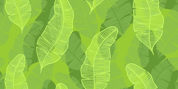 ABSTRACTE VECTOR NAADLOZE LICHTGROENE BANNER MET GROENE BANAANBLADEREN