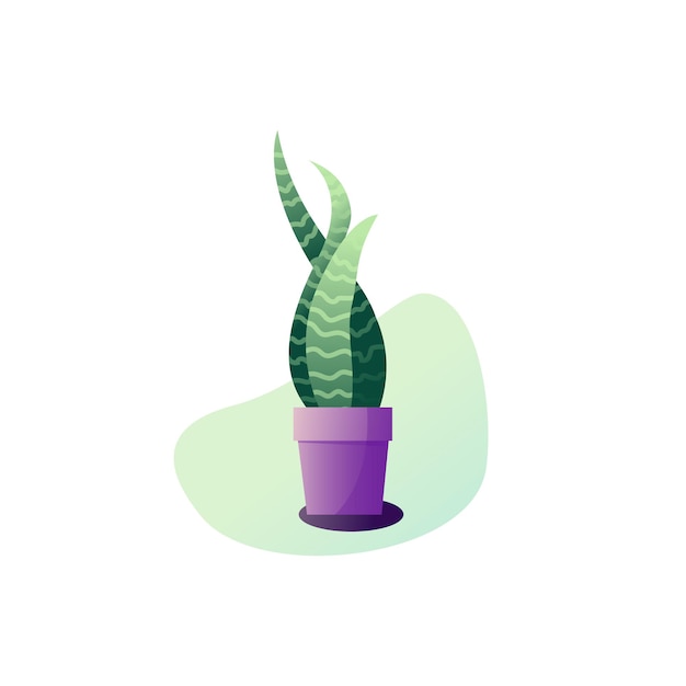 Abstraction Sansevieria potted plant. Vector illustration of the leaves of a houseplant. Gardening illustration in modern simple flat art style. Flower isolated on white background