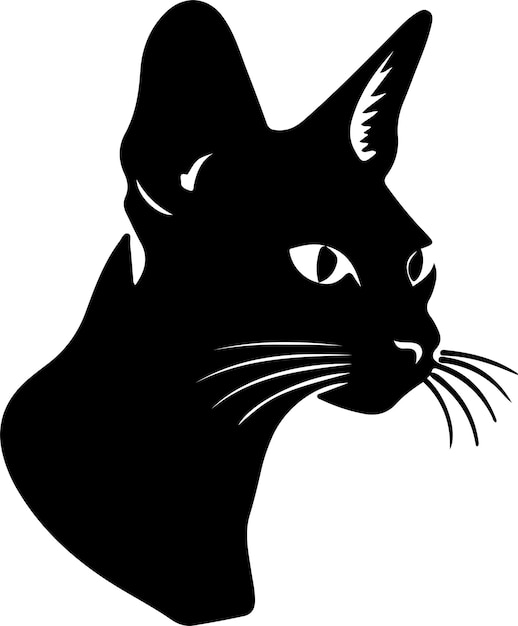 Vector abyssinian cat black silhouette with transparent background