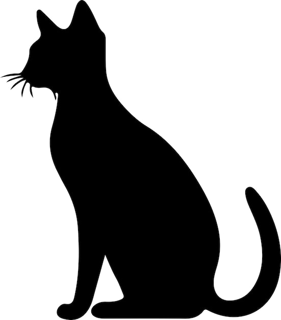 Vector abyssinian cat black silhouette with transparent background