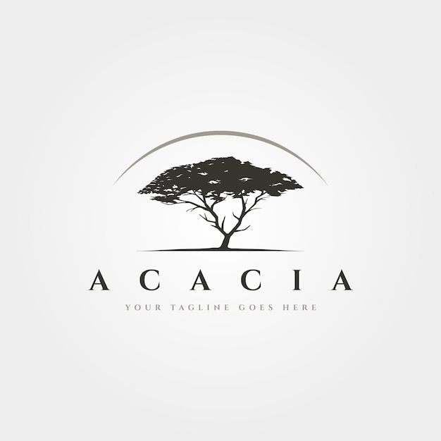 Vector acacia boom logo vintage vector symbool illustratie ontwerp oude boom logo ontwerp