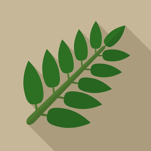 Acacia leaf flat icon illustration isolated vector sign symbol