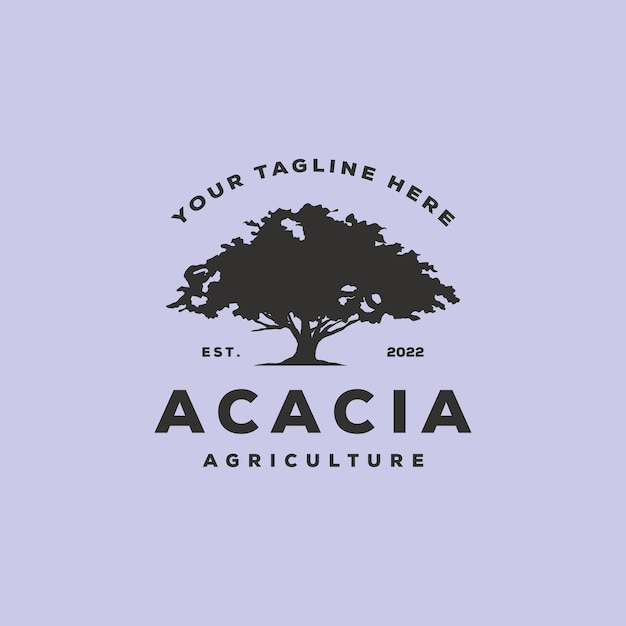 Acacia logo modello vettore albero logo vettore vintage simbolo illustrazione design vecchio albero logo design