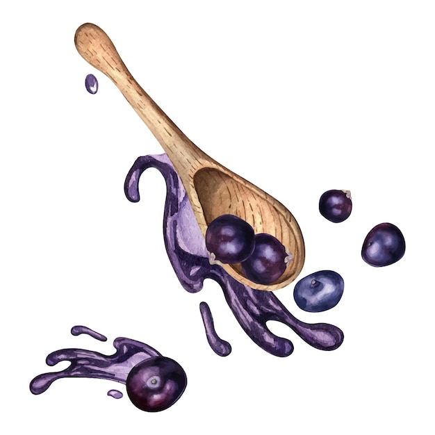 Vettore bacche di acai in cucchiaio di legno e illustrazione dell'acquerello della spruzzata del succo isolata sulla bacca bianca