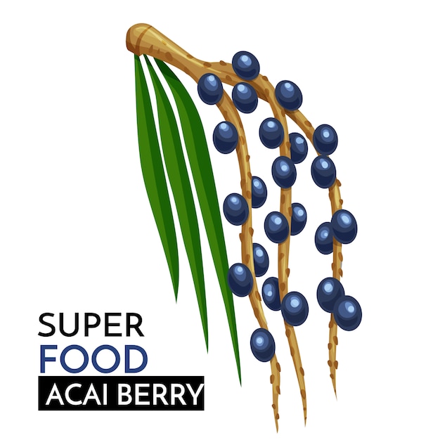 Acai berry icoon.