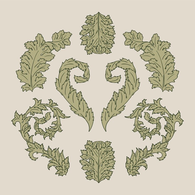 Vector acanthus leaves