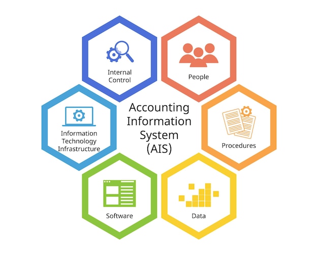 Vector accounting information system or ais for financial data which component of people procedures data