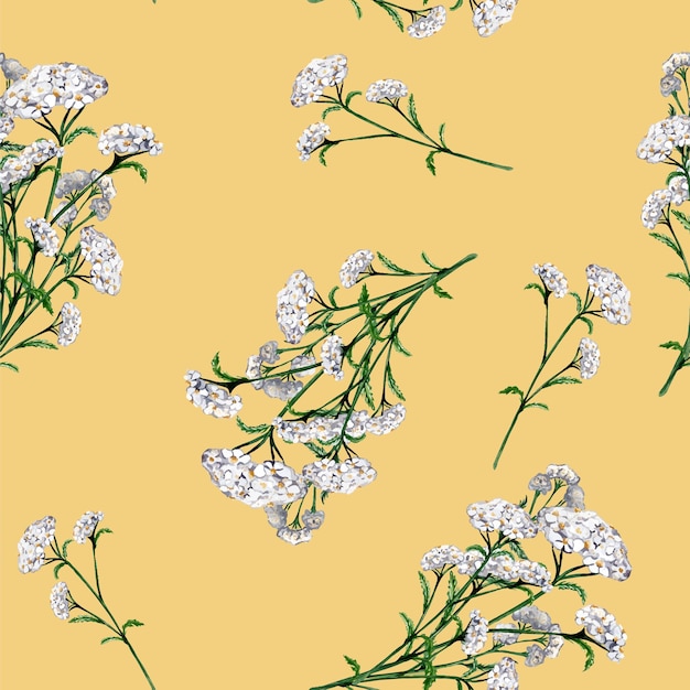 Vector achillea millefolium medicinal plant watercolor seamless pattern isolated on beige background yarrow white flower painted useful herb milfoil hand drawn design for textile package fabric