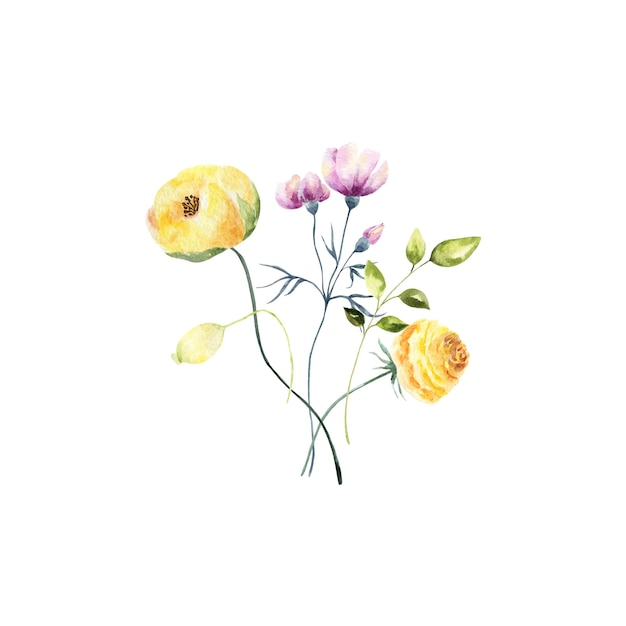 Achtergrond met aquarel bloemen bloemen illustratie Botanische compositie