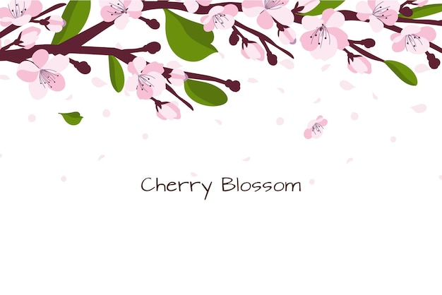 Achtergrond met kersenbloesem Een tak met kersenbloesem geïsoleerd op een witte Japanse sakura