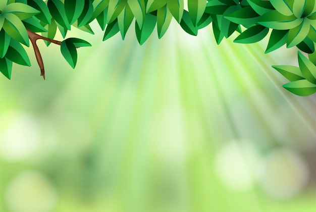 Achtergrondmalplaatje met bladeren en groen licht