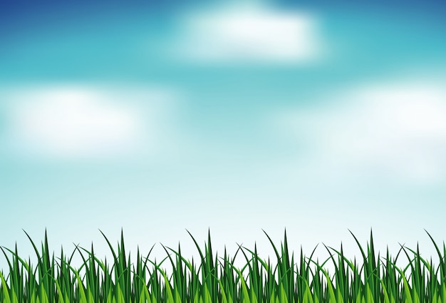 Achtergrondscène met groen gras en blauwe hemel