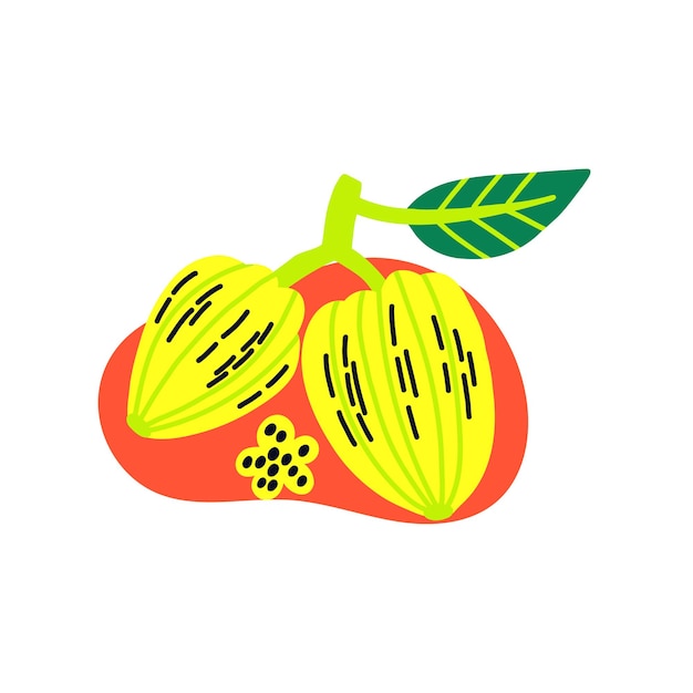 Vector acid fruit carambola with flower