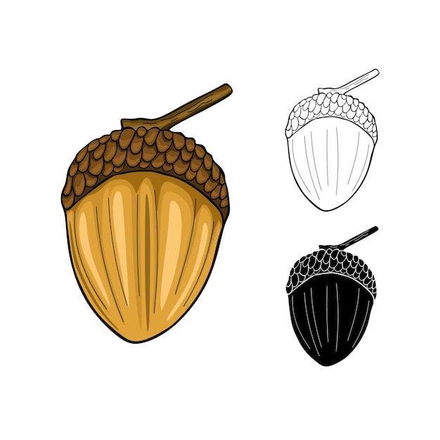 Acorn eiken moer zaad Cartoon vlakke stijl vectorillustratie