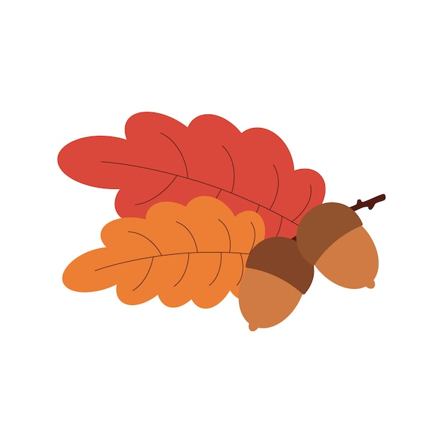 Acorn Hello autumn Autumn season element icon