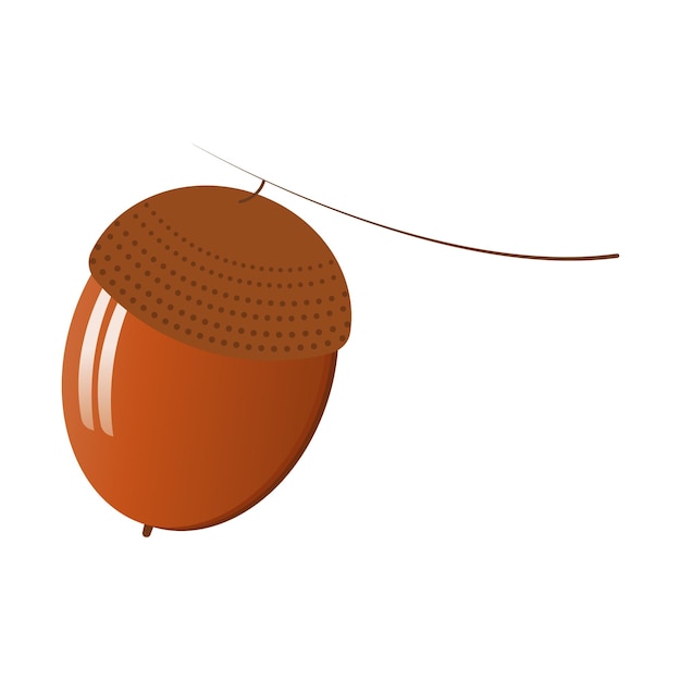 Acorn icon,highlighted on white background.Flat vector illustration.