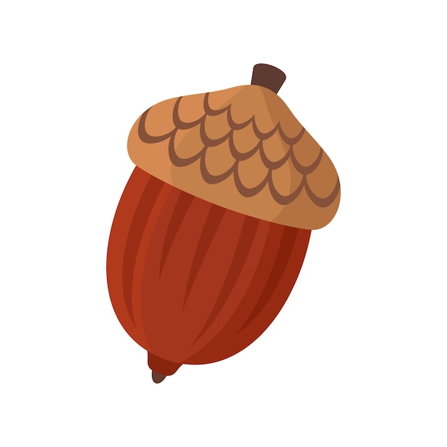 Acorn oak nut flat style vector illustration