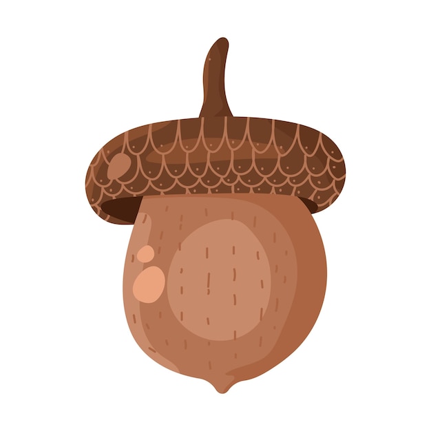 Acorn vector cartoon icon