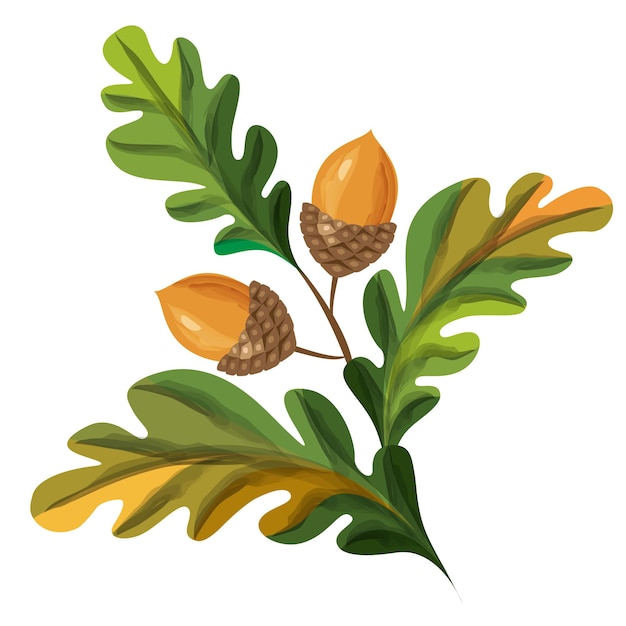 도토리와 떡갈 나무 잎