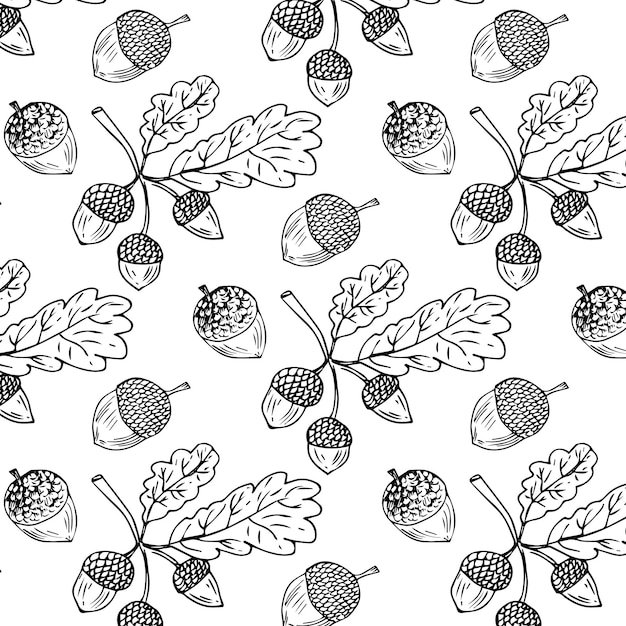 Vector acorns pattern background. collection of acorn icons. vector