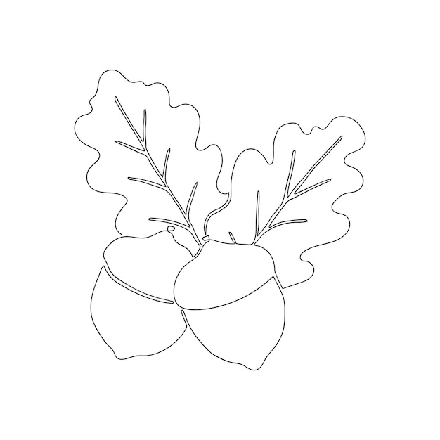 Acorns with oak leaves. continuous one line drawing.  line art. minimalist.