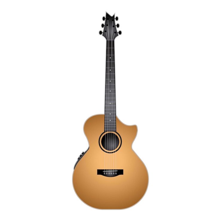 Vector acoustic guitar isolated on white background