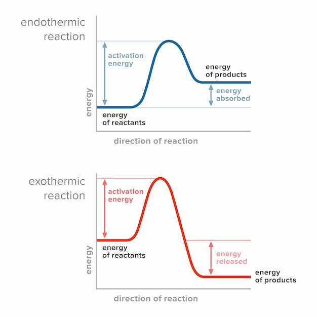 Energia di attivazione nelle reazioni endotermiche ed esotermiche