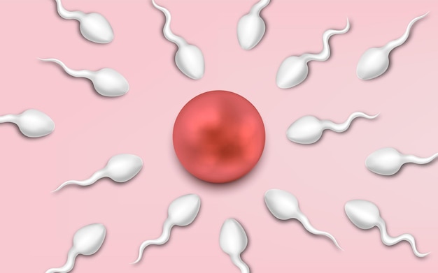 Gli spermatozoi attivi nuotano verso l'uovo su sfondo rosa il concetto di fecondazione in gravidanza dell'uovo illustrazione vettoriale