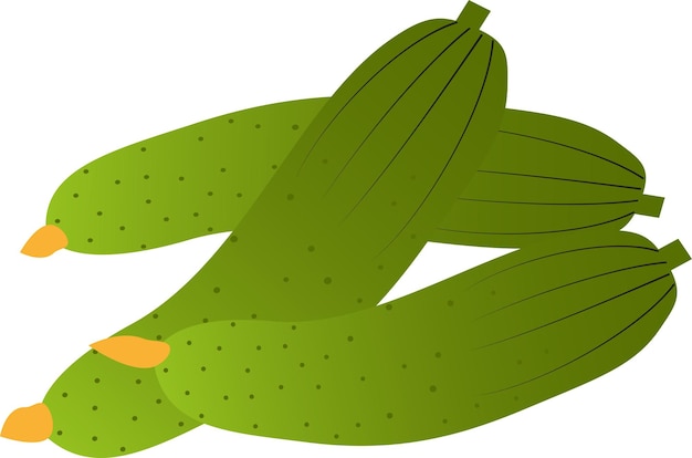 Acucumber vector geïsoleerd vlak ontwerp doorzichtige achtergrond EPS10
