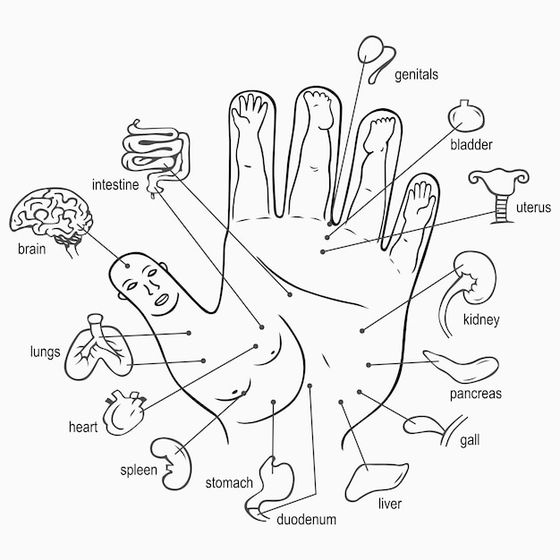 Acupuncture points on palm