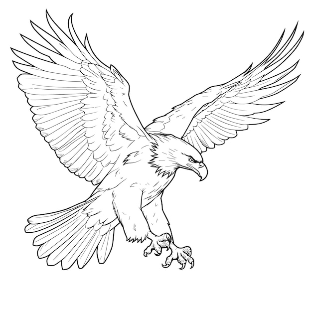 Vector adelaar vogel geïsoleerd kleurplaat voor kinderen zwart en wit dieren cartoon illustratie