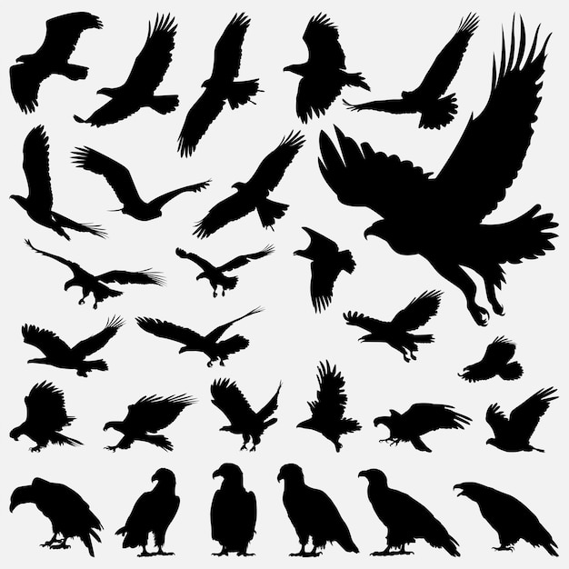 Adelaar vogel silhouet ontwerpsjabloon