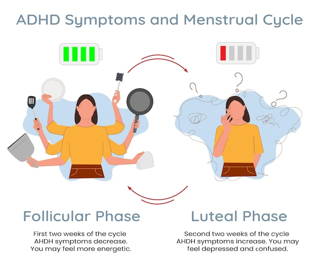 Vector adhd symptoms and women and menstrual cycle infographics vector template