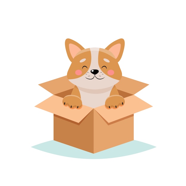Adopt a pet - cute dog in a box,  on white background
