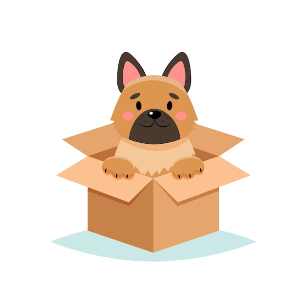 Adopt a pet - cute dog in a box,  on white background