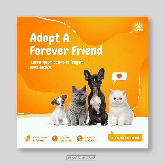 Adopt a pet instagram post