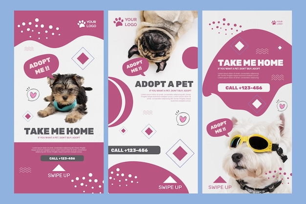 Vector adopt a pet instagram stories template