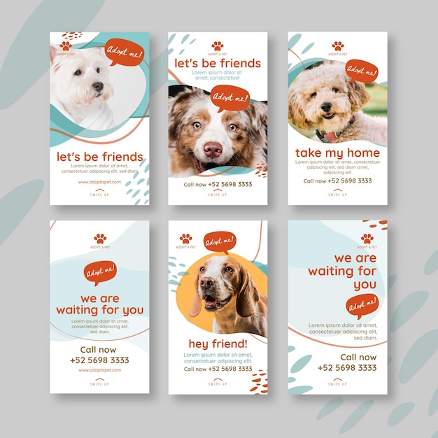 adopt a pet instagram stories