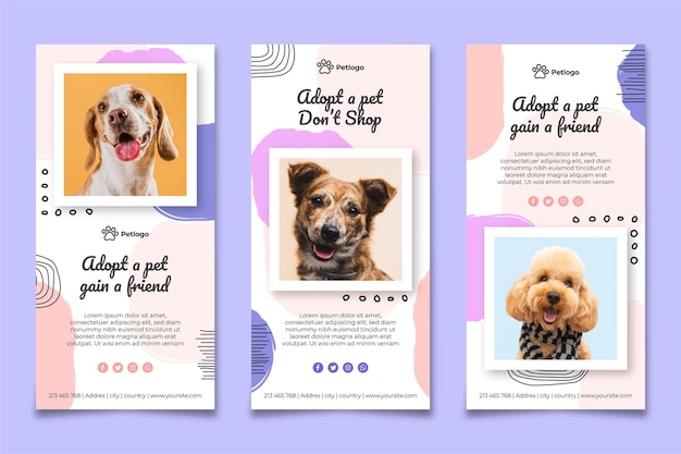 Vector adopt a pet instagram stories