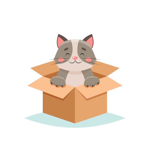 Adopteer een huisdier - schattige kat in een doos, op witte achtergrond
