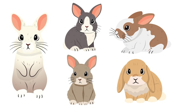 Adorable Bunny Vector Set Leuke illustraties van konijnen
