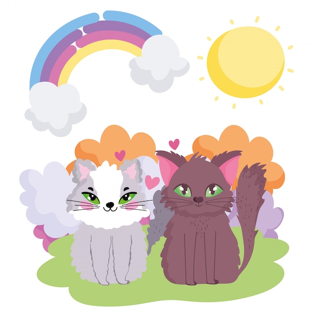 Adorable cats sitting in the grass sun theme pets