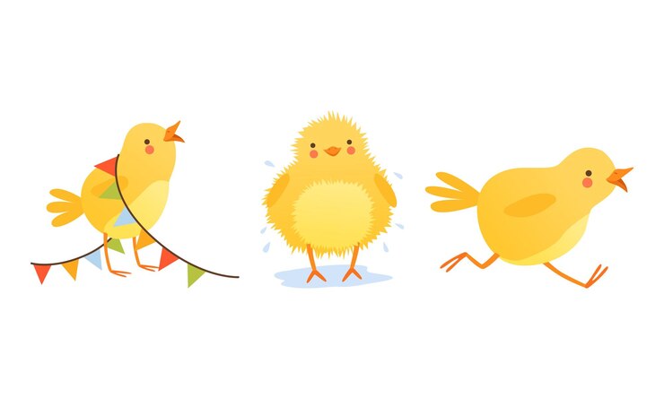 Vector adorable chicken in different situations set cute funny baby bird character cartoon vector illustration