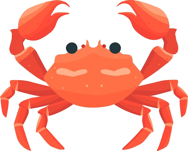 Adorable crab vector flat illustration