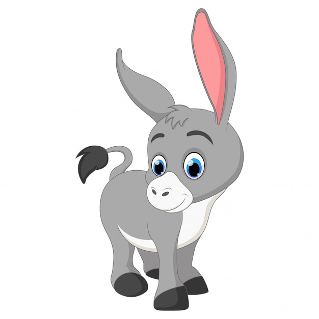 Adorable donkey isolated on white 