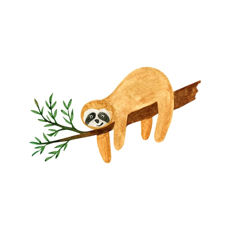 Vector adorable hand painted watercolor sloth on tree