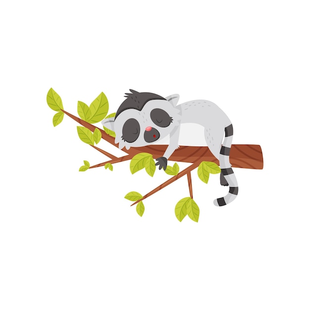 Adorable lemur sleeping on tree branch with green leaves Exotic animal with long striped tail Cute cartoon character Graphic element for children book Flat vector icon isolated on white background