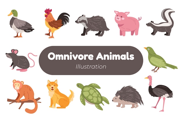 Vettore adorabile set di illustrazioni di animali onnivori