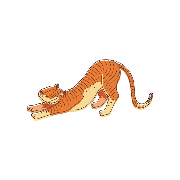 Vector adorable orange tiger in stretching pose side view large wild cat with striped coat predatory animal wildlife theme line art with colorful fill hand drawn vector isolated on white background